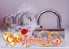 .     www.tverstar.ru (4822) 57-57-03
