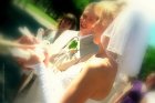Love&Dove